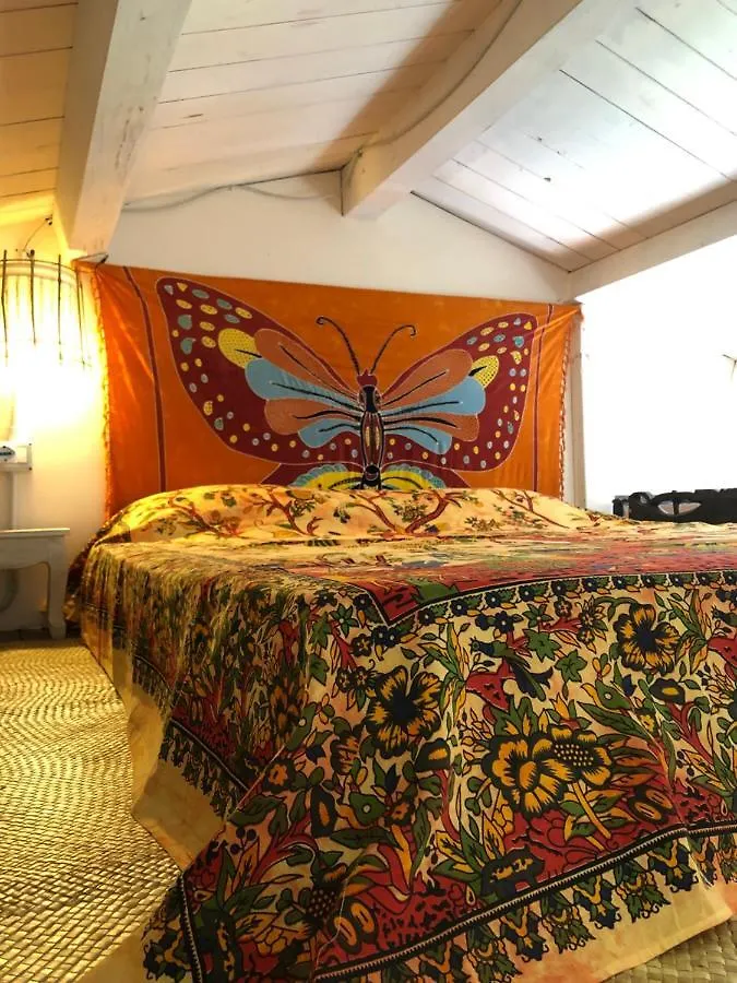 La Casetta Dei Mosaici Capraia Holiday home
